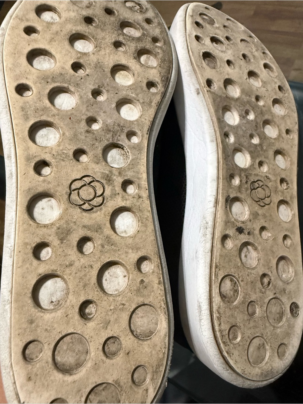 Atoms Women's Black Knit Sneakers with White Laces - Picture 8 of 10